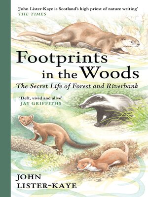 cover image of Footprints in the Woods